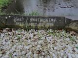 image of grave number 757620